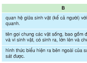 Soạn bài Luyện từ và câu: Mở rộng vốn từ về môi trường – Phân biệt nghĩa các cụm từ: