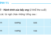 Soạn bài Chính tả: Hành trình của bầy ong – Đúng chính tả, trình bày đúng 2 khổ thơ cuối bài thơ Hành trình của bầy ong.