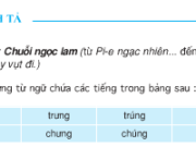 Soạn bài Chính tả: Nghe – viết Chuỗi ngọc lam –  Tìm tiếng thích hợp với mỗi ô tróng để hoàn chỉnh mẩu tin sau. Biết rằng :