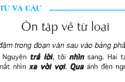 Soạn bài Luyện từ và câu: Ôn tập về từ loại – Tuần 14 – Xếp các từ in đậm trong đoạn văn sau vào bảng phân loại ở bên dưới: