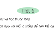 Soạn bài Ôn giữa học kì II – Tiết 6 – Tìm từ ngữ thích hợp với mỗi ô trống để liên kết các câu trong những đoạn văn sau