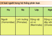 Bài 1, 2, 3, 4 trang 12 SGK Sinh học 10 Nâng cao – Hãy kể các bậc chính trong thang phân loại từ thấp đến cao.