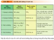 Bài 1, 2, 3 trang 115 Sinh lớp 10 Nâng cao – Định nghĩa và cho ví dụ về 4 kiểu dinh dưỡng ở vi sinh vật.