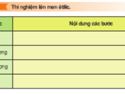 Bài 1, 2, 3, 4 trang 124 Sách Sinh lớp 10 Nâng cao b – Tại sao người ta nói vang hoặc rượu sâmpanh đã mở phải uống hết ?