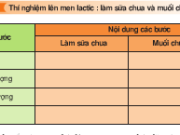 Bài 1, 2, 3, 4, 5, 6 trang 126 SGK Sinh học 10 Nâng cao – Người ta nói sữa chua là một loại thực phẩm rất bổ dưỡng có đúng không ? Vì sao ?