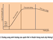 Bài 1, 2, 3, 4 trang 129 SGK Sinh học 10 Nâng cao – Tại sao nói “Dạ dày – ruột ở người là một hệ thống nuôi cấy liên tục đối với vi sinh vật” ?