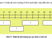 Bài 1, 2, 3, 4 trang 140 Sách môn Sinh 10 Nâng cao – Tác nhân gây hư hại các loại quả thường là nấm mốc mà ít khi là vi khuẩn. Hãy giải thích vì sao ?