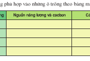 Bài 1, 2, 3, 4, 5, 6 trang 162 Sách môn Sinh 10 Nâng cao – Trong nuôi cấy không liên tục, vi khuẩn bắt đầu sinh trưởng ở pha nào ?