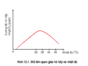 Bài 1, 2, 3, 4, 5 trang 53 Sách Sinh lớp 11 Nâng cao – Sự thay đổi nồng độ O2 và CO2 trong môi trường sẽ ảnh hưởng đến hô hấp như thế nào?