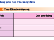 Bài 1, 2, 3, 4 trang 87, 88 SGK Sinh học 11 Nâng cao – Hãy điền nội dung phù hợp điền vào bảng 22.3