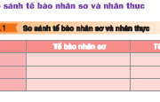 Bài I.1, I.2, II.1, II.2 trang 272 Sách môn Sinh 12 Nâng cao – Sơ lược về virut. Virut là dạng sống chưa có cấu tạo tế bào. Hãy chứng minh.