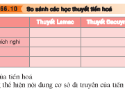 Bài 1, 2 trang 274, 275 Sinh lớp 12 Nâng cao – Cơ thể và môi trường. Các nhân tố sinh thái. Tác động của môi trường lên cơ thể.