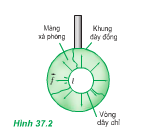 Bài 5, 6, 7, 8 trang 202, 203 Vật lý lớp 10: Các hiện tượng bề mặt của chất lỏng