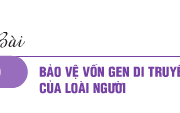 Bài 1, 2, 3, 4, 5 trang 122 SGK Sinh 12 Nâng cao – Di truyền Y học đã hạn chế sự phát triển của virut HIV ở người bệnh như thế nào?