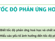 Bài 1, 2, 3, 4, 5 trang 202 SGK Hóa 10 Nâng cao: Tốc độ phản ứng hóa học