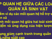 Các mối quan hệ giữa các loài trong quần xã nằm trong 2 nhóm: các mối quan hệ hỗ trợ và các mối quan hệ đối kháng