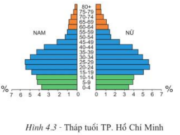 Bài 4. Thực hành: Phân tích lược đồ dân số và tháp tuổi – Địa lí 7: Nơi có mật độ dân số cao nhất. Mật độ là bao nhiêu