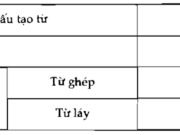 Soạn bài Từ và cấu tạo từ của tiếng Việt ngắn gọn Văn 6 trang 13