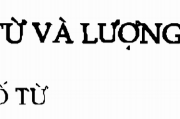 Soạn bài Số từ và lượng từ ngắn gọn Văn 6 trang 128