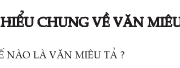 Soạn bài Tìm hiểu chung về văn miêu tả Văn 6 ngắn gọn: Tả cảnh mùa đông