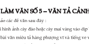 Bài tập làm văn số 5 Văn 6 – Văn tả cảnh ngắn gọn: Miêu tả cảnh bão lụt em đã chứng kiến hoặc xem trên truyền hình