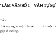 Soạn bài Viết bài tập làm văn số 1 – Văn tự sự và miêu tả ngắn gọn – Văn lớp 7: Miêu tả một cảnh đẹp mà em đã gặp trong mấy tháng nghỉ hè