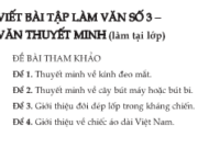 Soạn bài Viết bài Tập làm văn số 3 – Văn thuyết minh ngắn gọn – Văn 8: Thuyết minh về cây bút máy hoặc bút bi