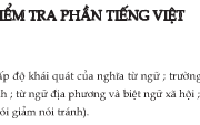 Soạn bài Ôn tập kiểm tra phần Tiếng Việt ngắn gọn – Văn 8: Từ tượng hình: là từ có khả năng gợi ra hình dáng, đường nét, hình khối màu sắc của sự vật, hiện tượng