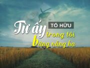 Soạn bài: Từ ấy – Tố Hữu trang 43 Văn 11: Tố Hữu đã dùng những hình ảnh nào để chỉ lí tưởng và biểu hiện niềm vui sướng