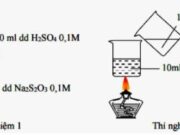 Kiểm tra 1 tiết Chương 7 – Tốc độ phản ứng và cân bằng hóa học môn Hóa học 10: Thực hiện hai thí nghiệm được mô tả như hình vẽ