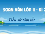 Soạn bài Tóm tắt tiểu sử trang 53 Văn 11: Những điểm giống và khác nhau giữa các văn bản tiểu sử tóm tắt