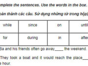 Câu 5 Unit 3 Trang 28 SBT Anh lớp 9: They took a boat and it would reach the place in one hour