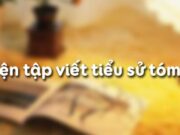 Bài Luyện tập viết tiểu sử tóm tắt Văn 11: Mục đích, Nội dung, Kết cấu…