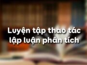 Soạn bài Luyện tập thao tác lập luận phân tích Văn 11: Phân tích hình ảnh sĩ tử và quan trường trong hai câu thơ?