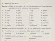 Language Focus- Unit 4 trang 33 SBT Tiếng Anh 11: Complete the sentences, using the infinitive, gerund or present participle of the verbs in brackets ?