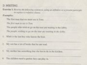 Writing – Unit 4 trang 37 Sách BT Anh lớp 11: Rewrite the following sentences, using an infinitive or a present participle to replace a relative clause ?