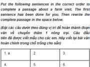 Câu 13 Unit 3 Trang 34 SBT Tiếng Anh 9: In the early hours of the morning when I wanted to sleep a little longer, they would eparch under my window and crow their loudest