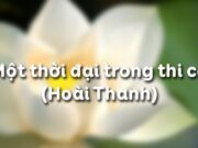 Soạn bài Một thời đại trong thi ca ngắn gọn nhất Văn 11: Cái khó trong việc tìm ra tinh thần thơ mới là ranh giới giữa thơ cũ và thơ mới?