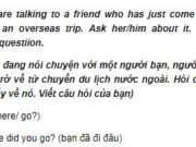 Câu 4 Unit 1 Trang 7 SBT Anh lớp 9: Did you speak English all the time?