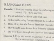 Language Focus – Unit 8 trang 59 SBT Tiếng Anh 11: Write the words in Exercise 1 which contain sounds /fl/ /fr/, and /Or/.