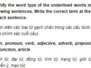 Câu 8 Unit 4 Trang 44 SBT Anh lớp 9: There are many different ways you can improve your English, so don’t limit yourself to only one or two