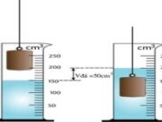 Bài 4.6, 4.7, 4.8, 4.9, 4.10 trang 12, 13 SBT Lý 6: Hãy tìm ba cách đổ nước vào tới mức nửa ca ?