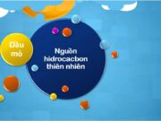 Bài 48. Nguồn hidrocacbon thiên nhiên: Giải bài 8, 9 10, 11 trang 204 Hóa 11 Nâng cao