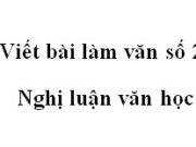 Soạn bài Viết bài làm văn số 2: Nghị luận văn học Văn 11: Cảm nghĩ của em về giá trị hiện thực trong đoạn trích “Vào phủ chúa Trịnh”