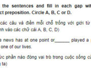 Câu 7 Unit 5 Trang 53 SBT Anh lớp 9: Newspapers have become part of a daily _________  in most lives but little is known of the immense history of this learning tool