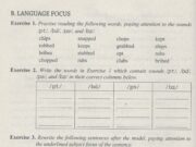 Language Focus – Unit 13 trang 94 SBT Tiếng Anh 11: Practise reading the following words, paying attention to the sounds /pt/, /bd/, /ps/, and/bz/