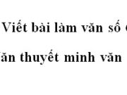 Soạn bài Viết bài làm văn số 6 Văn 10:  Thuyết minh về một tác phẩm văn học