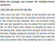 Câu 13 Unit 6 Trang 64 SBT Anh lớp 9: Why were the seals hunted?