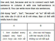 Câu 1 Unit 7 Trang 67 SBT Anh lớp 9: Ann studied every subject very hard but she is not interested in the subject in grade