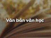 Soạn bài Văn bản văn học Văn 10: Hãy nêu những tiêu chí chủ yếu của văn bản văn học?